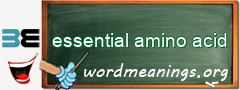 WordMeaning blackboard for essential amino acid